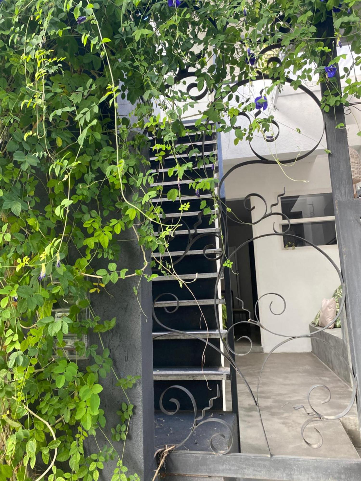 Casa Elsa Pipa Daire Praia de Pipa Dış mekan fotoğraf